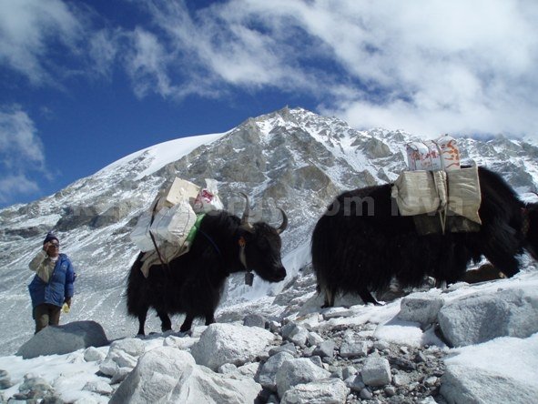 himalayas