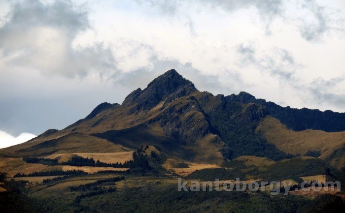 Pasuncho, Pasochoa. Leonardo S Vivar Ayora Naturaleza viva, Cotopaxi Erupción, Leonardo S Vivar