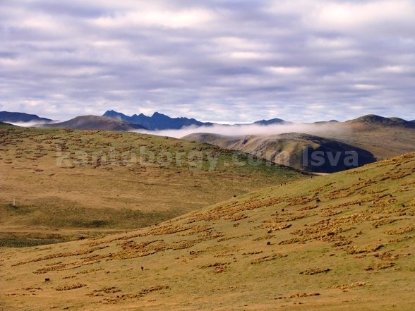 mica