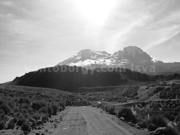Antisana, Cotopaxi Sincholagua. Leonardo Vivar Ayora Cotopaxi