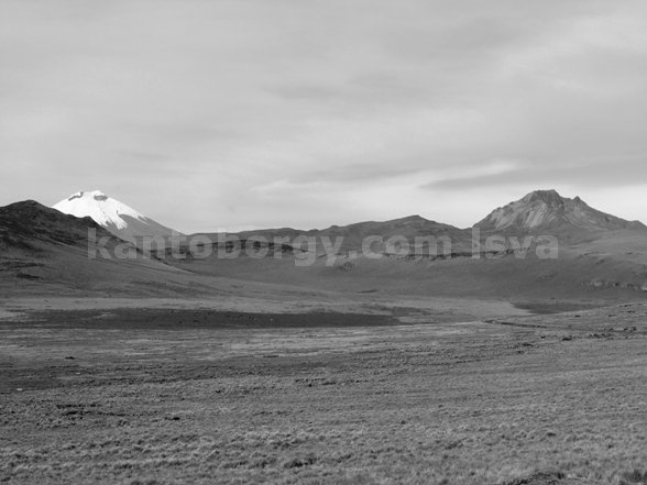 Antisana, Cotopaxi Sincholagua. Leonardo Vivar Ayora Cotopaxi