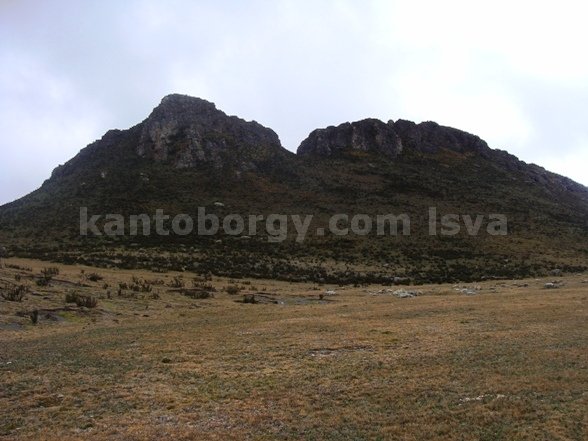 Antisana