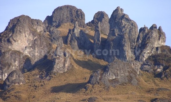 cajas