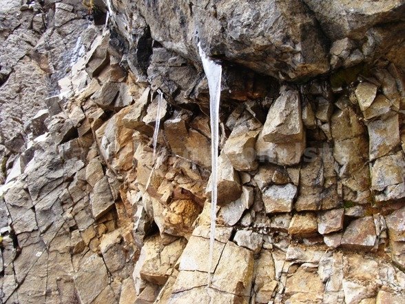 Cotacachi cordillera occidental