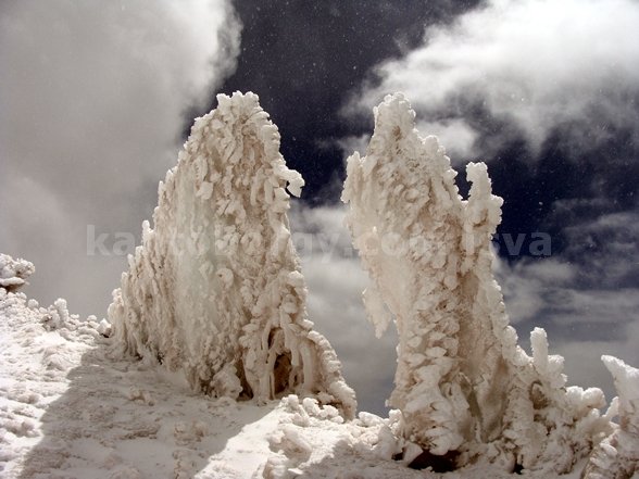 Cotopaxi. Leonardo Vivar Ayora SERAC