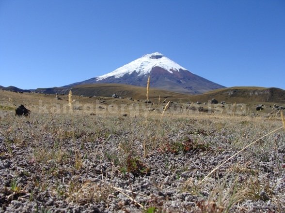 Cotopaxi. Leonardo Vivar Ayora rumiñahui