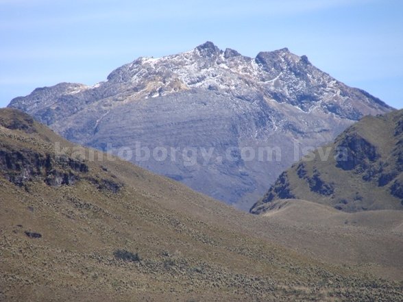 VOLCAN CHILES. LEONARDO VIVAR AYORA frailejon
