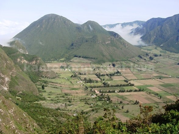 Pondoña, Chivo, y Pan de Azúcar