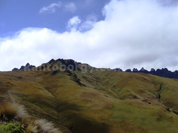 El Puntas, Sus bichos, sus plantas y flores y sus espolones para escalar. Leonardo Vivar Ayora Puntas montaña cordillera central