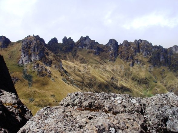El Puntas, Sus bichos, sus plantas y flores y sus espolones para escalar. Leonardo Vivar Ayora Puntas montaña cordillera central