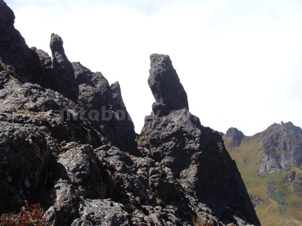 El Puntas, Sus bichos, sus plantas y flores y sus espolones para escalar. Leonardo Vivar Ayora Puntas montaña cordillera central
