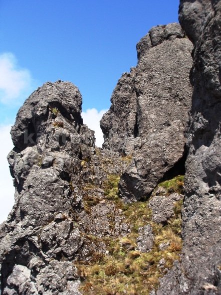 El Puntas, Sus bichos, sus plantas y flores y sus espolones para escalar. Leonardo Vivar Ayora Puntas montaña cordillera central