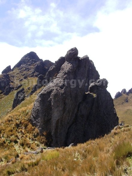 El Puntas, Sus bichos, sus plantas y flores y sus espolones para escalar. Leonardo Vivar Ayora Puntas montaña cordillera central