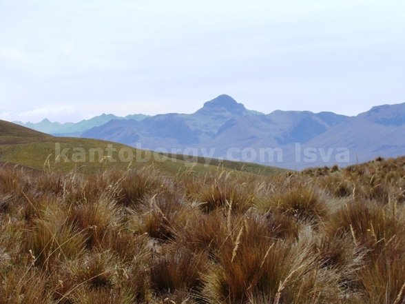 Montaña sin nombre. Leonardo Vivar Ayora quilindaña