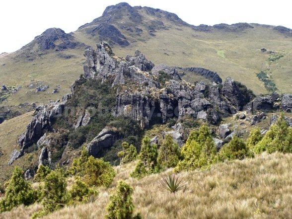 Cerro de Arcos, Leonardo vivar Ayora LSVA