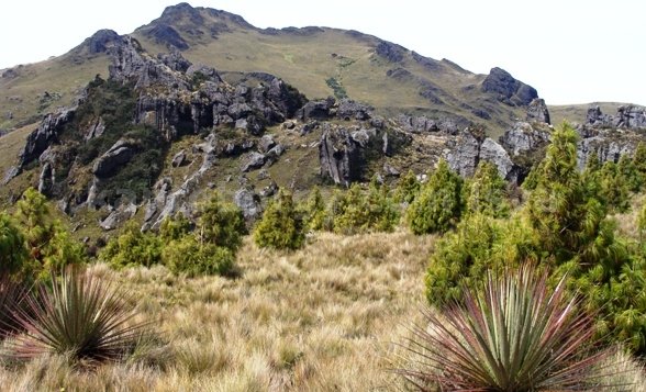 Cerro de Arcos, Leonardo vivar Ayora LSVA