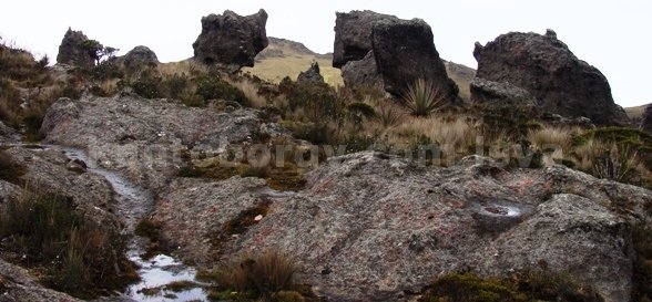 Cerro de Arcos, Leonardo vivar Ayora LSVA