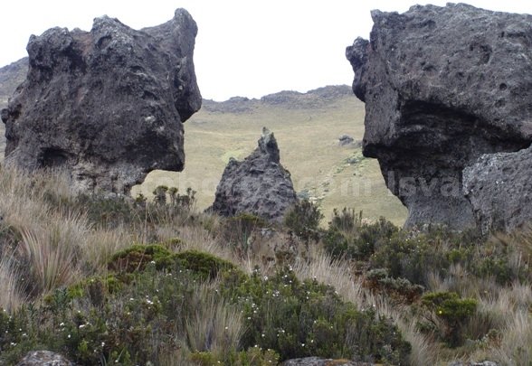 Cerro de Arcos, Leonardo vivar Ayora LSVA