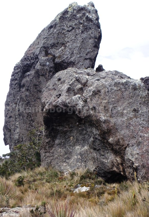Cerro de Arcos, Leonardo vivar Ayora LSVA