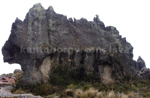 Cerro de Arcos, Leonardo vivar Ayora LSVA