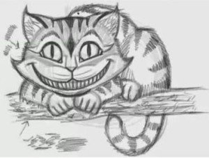 gato